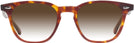 Square Tortoise Orville w/ Gradient Progressive Reading Sunglasses View #2