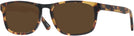 Rectangle Tortoise Shore Line Progressive Reading Sunglasses View #1