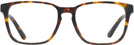 Square Antique Havana Ralph Lauren 6226U Progressive No-Lines View #2