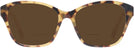 Square Havana Ralph Lauren 6236U Bifocal Reading Sunglasses View #2