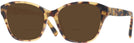Square Havana Ralph Lauren 6236U Bifocal Reading Sunglasses View #1