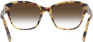 Square Havana Ralph Lauren 6236U w/ Gradient Progressive Reading Sunglasses View #4