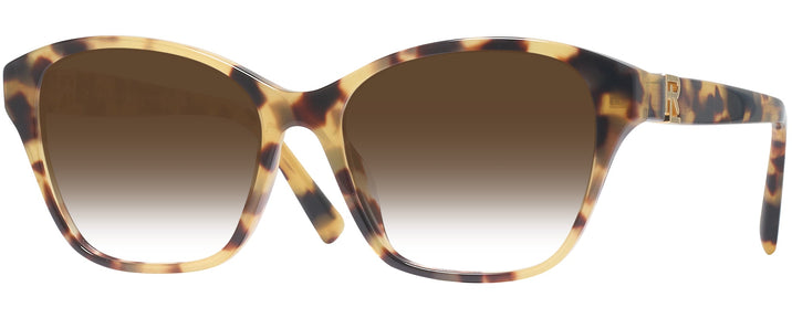 Square Havana Ralph Lauren 6236U w/ Gradient Progressive Reading Sunglasses View #1