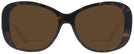 Oversized Shiny Dark Havana Ralph Lauren 8144 Bifocal Reading Sunglasses View #2