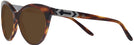 Cat Eye Shiny Striped Havana Ralph Lauren 8195B Progressive Reading Sunglasses View #3