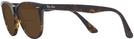 Cat Eye Havana Ray-Ban 2185VL Bifocal Reading Sunglasses View #3