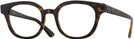 Square Havana Ray-Ban 4324V Single Vision Full Frame View #1