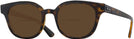 Square Havana Ray-Ban 4324V Bifocal Reading Sunglasses View #1