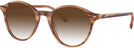 Round Striped Brown Ray-Ban 5430 w/ Gradient Progressive Reading Sunglasses View #1