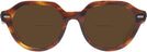 Round Striped Havana Ray-Ban 7214 Bifocal Reading Sunglasses View #2