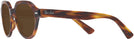 Round Striped Havana Ray-Ban 7214 Bifocal Reading Sunglasses View #3
