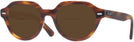 Round Striped Havana Ray-Ban 7214 Bifocal Reading Sunglasses View #1