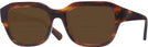 Square Striped Havana Ray-Ban 7225 Bifocal Reading Sunglasses View #1