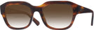 Square Striped Havana Ray-Ban 7225 w/ Gradient Bifocal Reading Sunglasses View #1