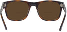 Square Havana Ray-Ban 7228 Bifocal Reading Sunglasses View #4