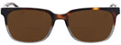 Square Havana Grey Seattle Eyeworks 971L Bifocal Reading Sunglasses View #2