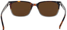 Square Havana Grey Seattle Eyeworks 971L Bifocal Reading Sunglasses View #4