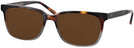 Square Havana Grey Seattle Eyeworks 971L Bifocal Reading Sunglasses View #1