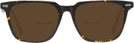 Square Tortoise Seattle Eyeworks 1002 Bifocal Reading Sunglasses View #2