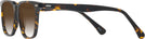 Square Tortoise Seattle Eyeworks 1002 w/ Gradient Bifocal Reading Sunglasses View #3