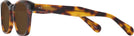 Square Tortoise Seattle Eyeworks 1004 Progressive Reading Sunglasses View #3
