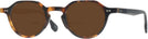 Round Tortoise With Black  Seattle Eyeworks 1006 Bifocal Reading Sunglasses View #1
