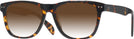 Square Tortoise Seattle Eyeworks 1008 w/ Gradient Progressive Reading Sunglasses View #1