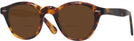 Round Tortoise Seattle Eyeworks 1019 Bifocal Reading Sunglasses View #1