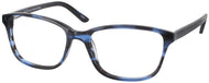 Blue Tortoise #1