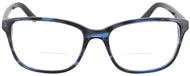 Blue Tortoise #2