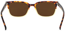 Square Havana Fade Seattle Eyeworks 970 Progressive Reading Sunglasses View #4