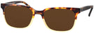 Square Havana Fade Seattle Eyeworks 970 Progressive Reading Sunglasses View #1