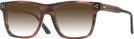 Square Transparent Brown Seattle Eyeworks 984 w/ Gradient Bifocal Reading Sunglasses View #1