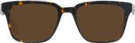 Dark Tortoise #2