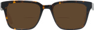 Dark Tortoise #2