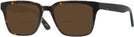 Rectangle Dark Tortoise Seattle Eyeworks 992 Bifocal Reading Sunglasses View #1