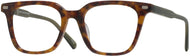 Tortoise With Green #1