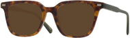 Tortoise With Green #1