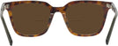 Square Tortoise With Green Seattle Eyeworks 994 Bifocal Reading Sunglasses View #4