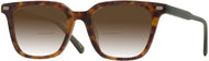 Tortoise With Green #1