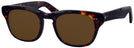 Square Demi Amber Shuron Sidewinder 48 Progressive Reading Sunglasses View #1