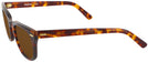 Wayfarer Demi Amber Shuron Freeway 48 (Women&#39;s Average Fit) Progressive Reading Sunglasses View #3