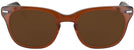 Wayfarer Brown Smoke Shuron Freeway 52 (Men&#39;s Average Fit) Progressive Reading Sunglasses View #2