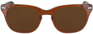 Wayfarer Brown Smoke Shuron Freeway 52 (Men&#39;s Average Fit) Bifocal Reading Sunglasses View #2