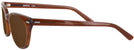 Wayfarer Brown Smoke Shuron Freeway 52 (Men&#39;s Average Fit) Bifocal Reading Sunglasses View #3