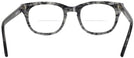 Wayfarer Demi Grey Shuron Freeway 52 (Men&#39;s Average Fit) Bifocal View #4