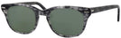 Wayfarer Demi Grey Shuron Freeway 52 (Men&#39;s Average Fit) Progressive Reading Sunglasses View #1