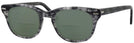 Wayfarer Demi Grey Shuron Freeway 52 (Men&#39;s Average Fit) Bifocal Reading Sunglasses View #1