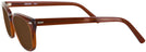 Wayfarer Brown Smoke Shuron Freeway 54 (Mens XL Fit) Bifocal Reading Sunglasses View #3