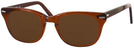 Wayfarer Brown Smoke Shuron Freeway 54 (Mens XL Fit) Bifocal Reading Sunglasses View #1